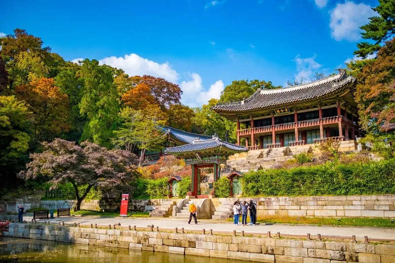Guide showing a small group Gyeongbokgung Palace on a seoul private tours city highlights day in Seoul, South Korea